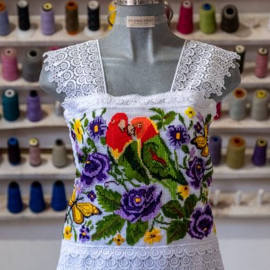 Blusa periquitos y mariposas