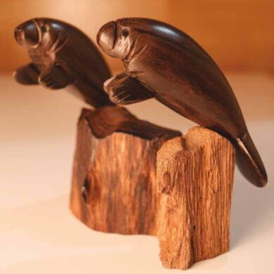 Pareja de Manatíes