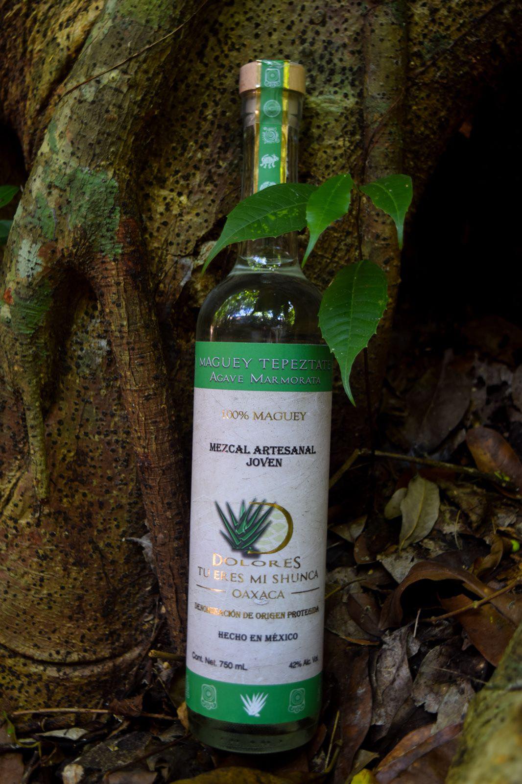 Mezcal Tepeztate - Imagen 5