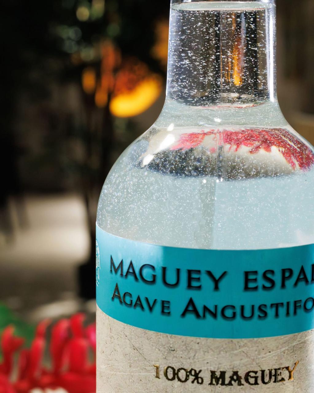 Mezcal Espadín - Imagen 5